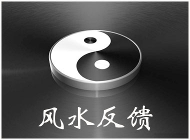 风水反馈
