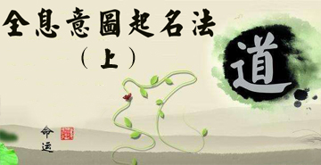 《全息意图起名法与其他起名法之不同》上