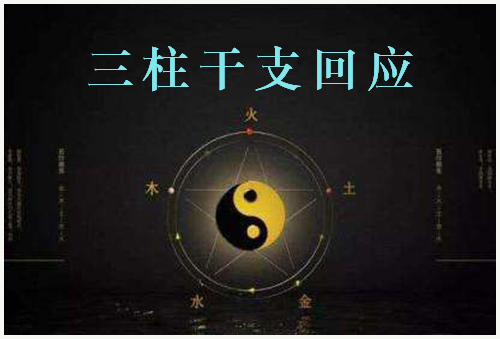 三柱干支回应