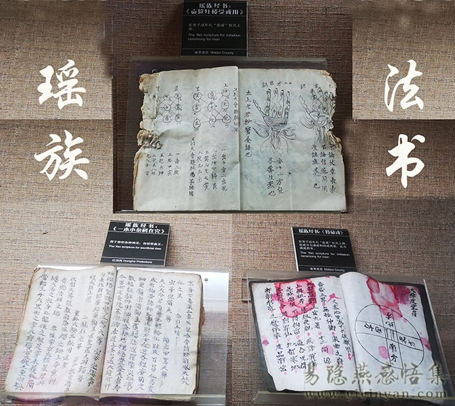 IMG_20211230_151746.jpg IMG_20211230_151746.jpg