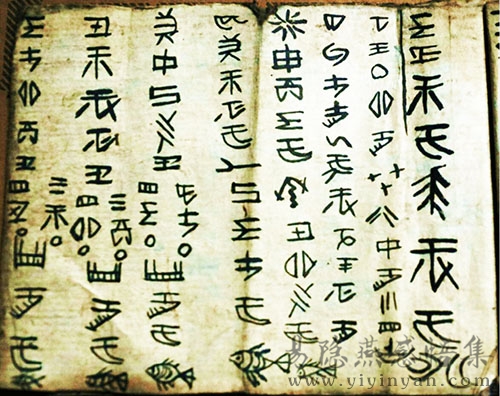 5水书.jpeg 5水书.jpeg