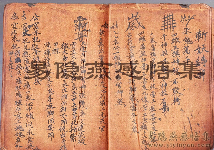 img010.jpg img010.jpg