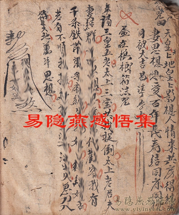 IMG_0055.jpg IMG_0055.jpg