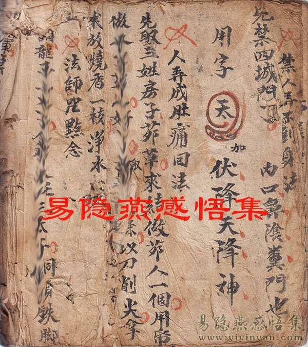 IMG_0083.jpg IMG_0083.jpg