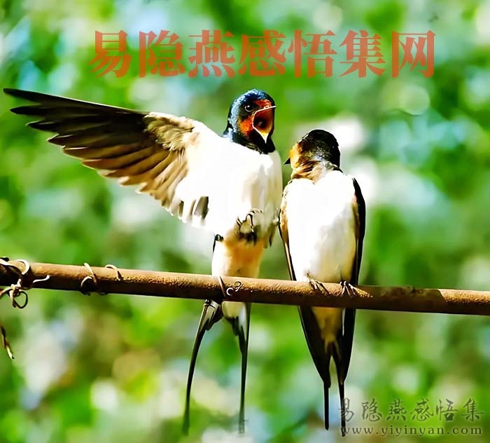 e0a9a0e7-e8be-47bc-b725-c37d9548b73e.jpg e0a9a0e7-e8be-47bc-b725-c37d9548b73e.jpg