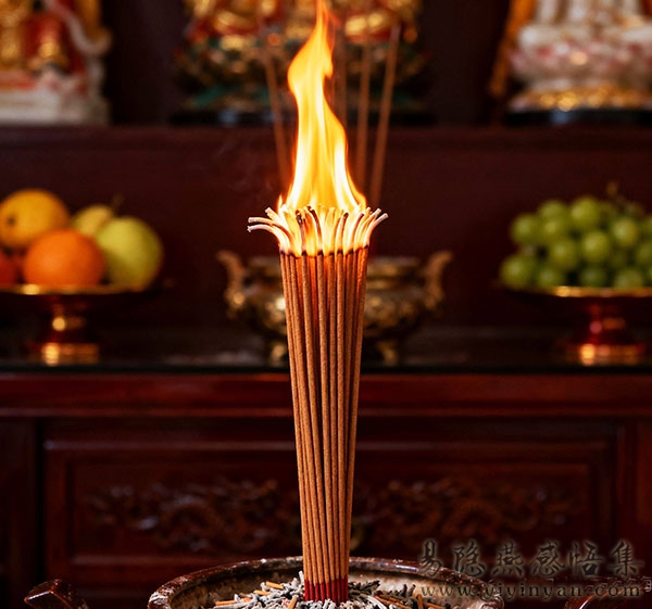 320984a4faf0ebc840962b43576ef348.jpeg 320984a4faf0ebc840962b43576ef348.jpeg