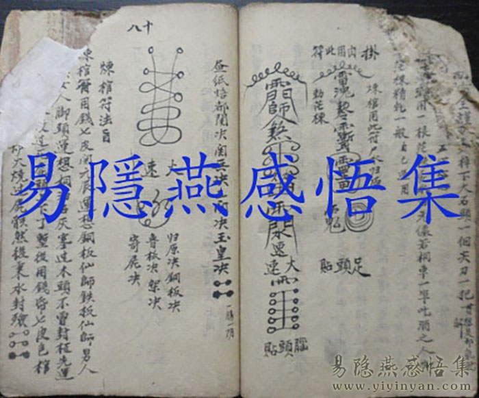 P1020550.JPG
