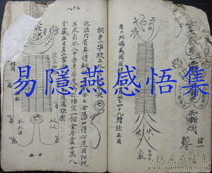 P1020551.JPG