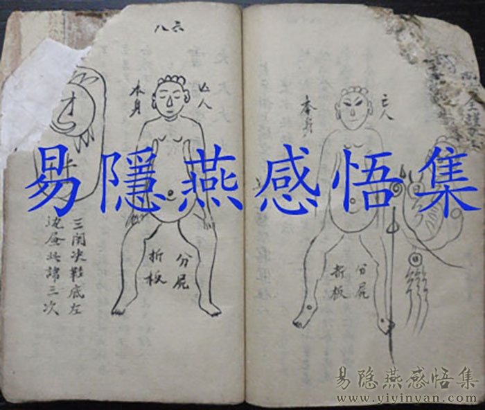 P1020553.JPG