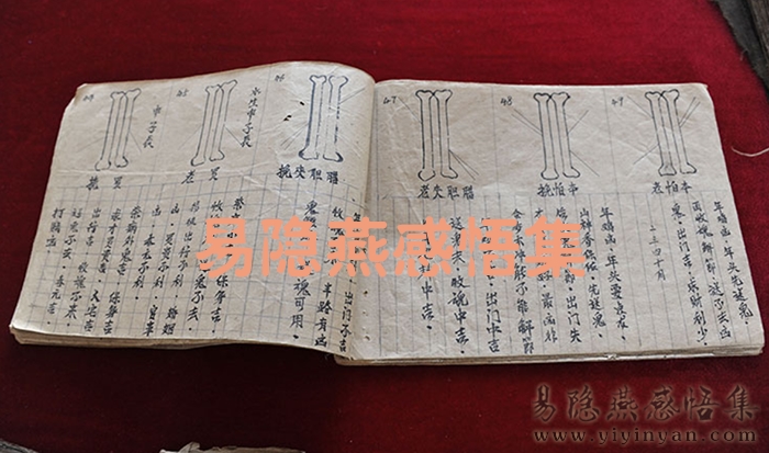 QQ20260211-184815.png