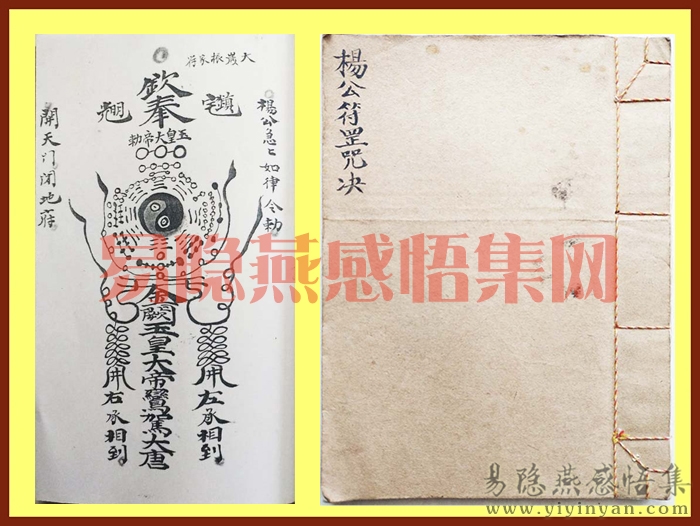 杨1.jpg
