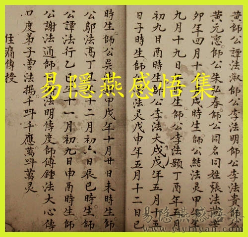 P1070345.JPG