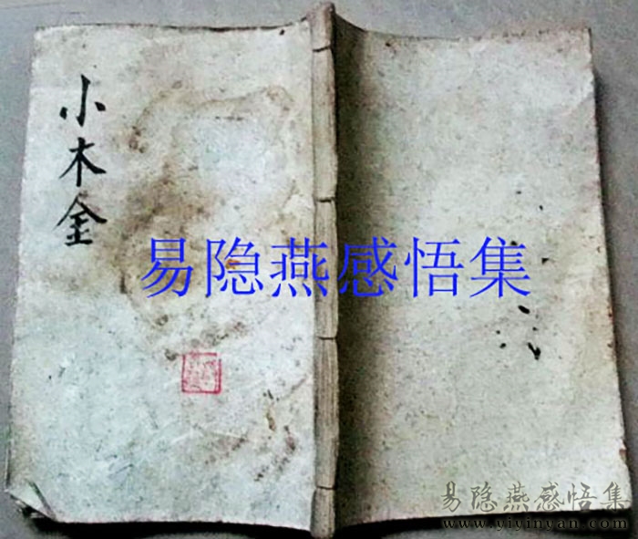 小木金2.jpg