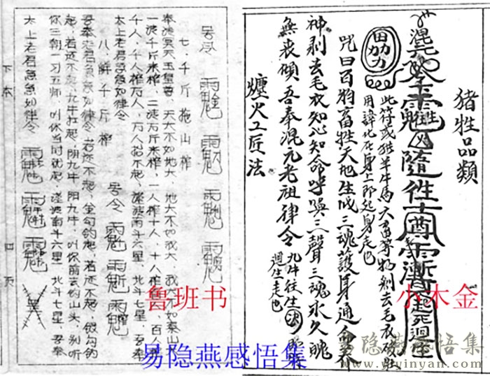 鲁班书与小木金.jpg