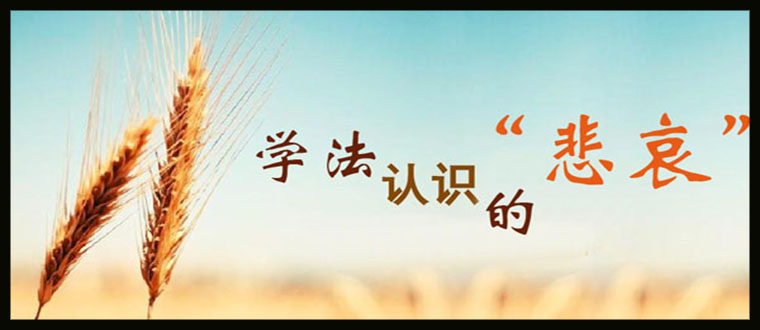 学法认知的悲哀