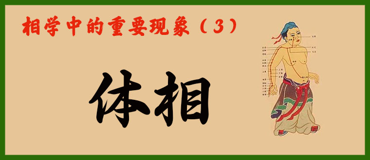 相学中的重要现象（3）------体相